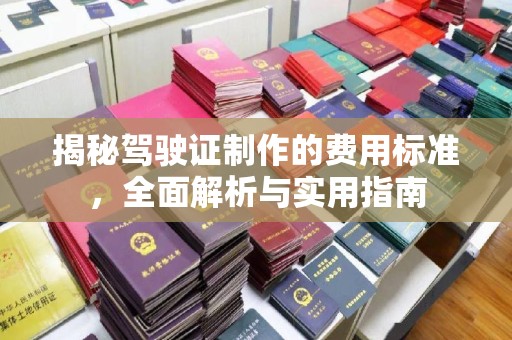 瑞金揭秘驾驶证制作的费用标准，全面解析与实用指南
